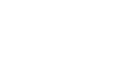 Brain c 13 free shipping